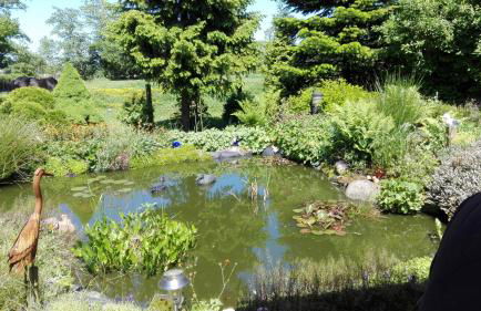 Das Ferienhäusle - Photo 16