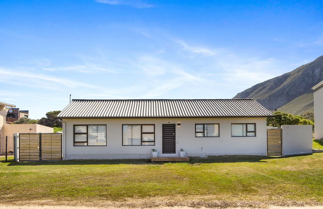 8 on Nivenia - Foto 48