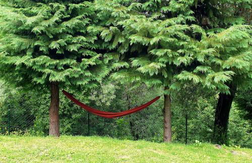 Quinta da Casa dos Santos - Inside Gerês - Foto 38