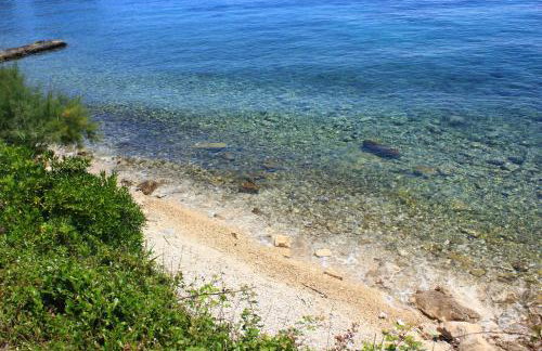 Apartments by the sea Kuciste - Perna, Peljesac - 4542 - Photo 5