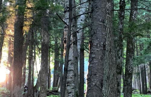 Hidden Gem on Golden Pond - Foto 35