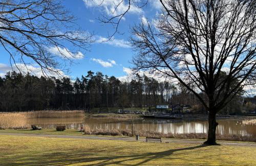 Apartment in Miesenbach - Foto 6