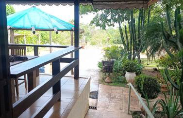 Ananda Multiverse Evolve 15' from the Botanical Garden - Foto 46