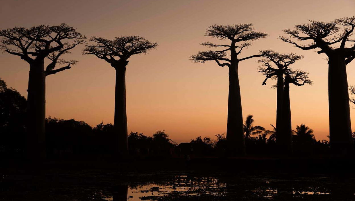 Disfrutando del atardecer