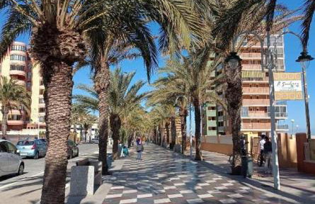Claudia Luxury Apartment near the beach with a pool, gym, and secure gated parking - Foto 37