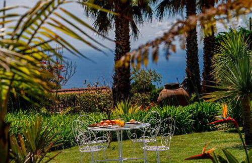 OurMadeira - Garden Paradise - Foto 31