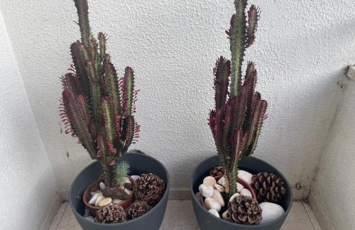 BestHomeStay- Caparica Beach Lisbon - Photo 32