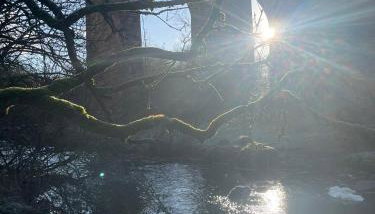 West Coast Whistlestop - Foto 5