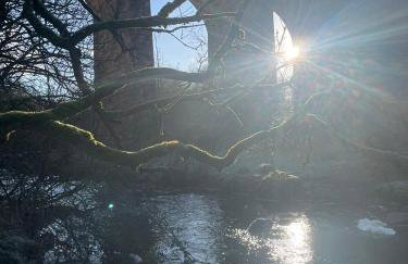 West Coast Whistlestop - Foto 5