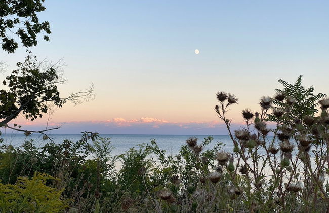 Brand New Walk Out Bsmt Apt Near Beach - Foto 36