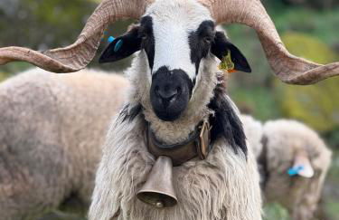 Casa Com Mãos - Foto 65