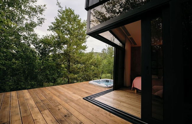 PurpleVague - Photo 20