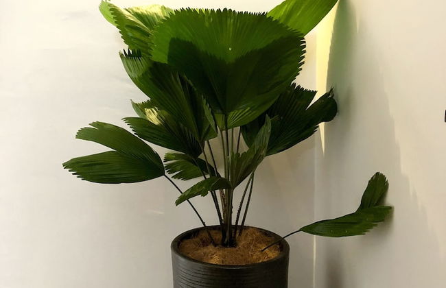 Minimalist Duplex at Sunway & PJ - Photo 10