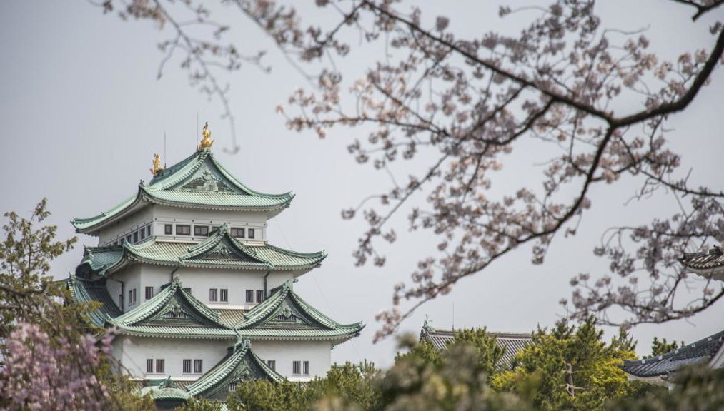 Nagoya's Castle, Gardens and Historic Estates - Full-Day Tour - Photo 1
