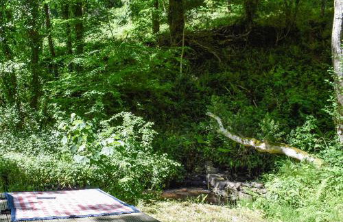 Woodland Retreat - Foto 32