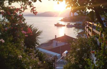 Georgia's - Photo 28