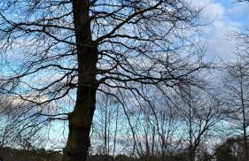 Cottage - Kleine alte Villa am See - Photo 13