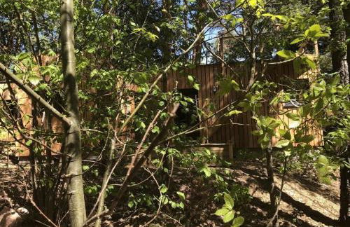 Holiday home under the trees - Photo 29