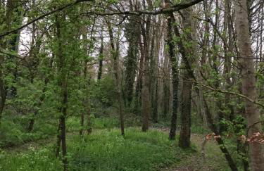 Moulin de Rochoux Gites - Puy du Fou - Foto 11