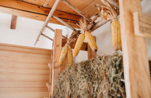 Maso Del Fieno con Sauna Privata e Vista Unica - Foto 9