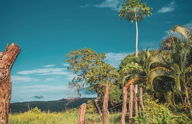 La Maracuyá - Photo 45