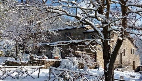 Agriturismo Montesalce - Foto 3, Garden