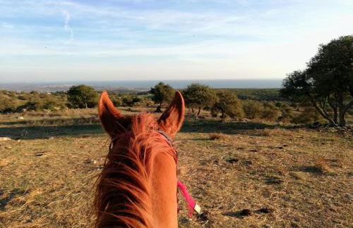 Dream house... Cerveteri! - Foto 41