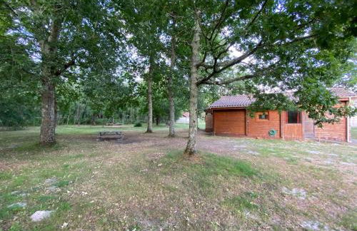 Chalet en bois sur grand parc arboré tout proche de l océan - Foto 50