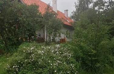 Wyciszek - mazurska agroturystyka - Foto 20