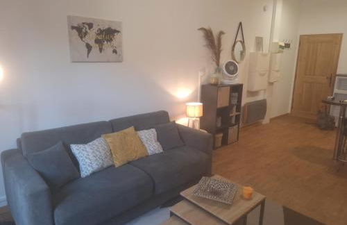 Studio élégant rénové, cœur piéton Evian - Foto 14