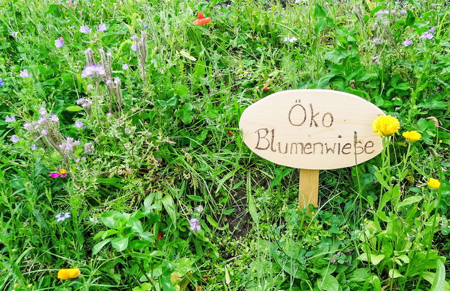 3 bedroom House in Heiligenblut am Großglockner with garden and terrace - Photo 17