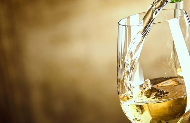 Visite des caves à vin de la Finca Montepedroso - Photo 7