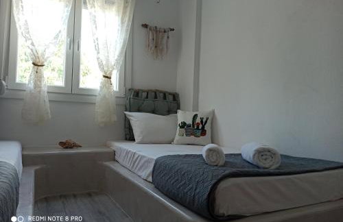 Cactus Home - Foto 11