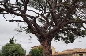 Rez de Jardin T3 recent et calme au Nouvelles Terres à La Londe les Maures - Foto 26