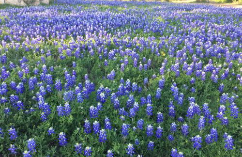 V700 Ranch Stays (Guesthouse)-A Tucked Away Gem - Foto 54