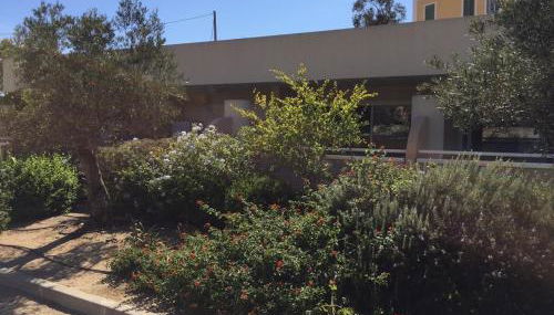 Résidence les Eucalyptus, Appart à 500m de la mer et du centre - Foto 2, Garden view