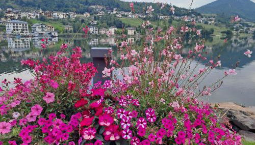 Riflessi sul lago - Foto 3