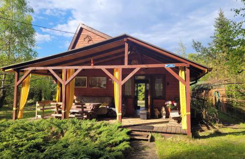 Brązowy Domek - Tleń, Bory Tucholskie - Foto 2