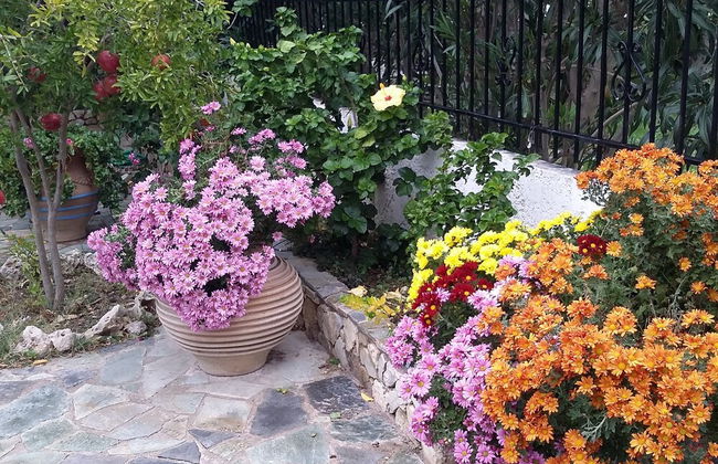 Exclusive Cottage in S West Crete in a Quiet Olive Grove Near the sea - Foto 7