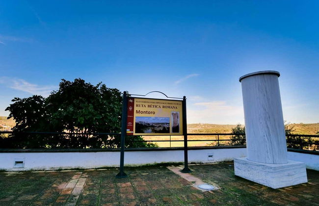 Tour por la Ruta Bética Romana - Foto 6
