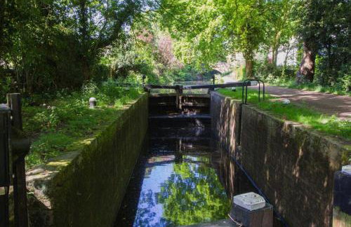 Cloud9StayZ at The Leafield - Foto 14