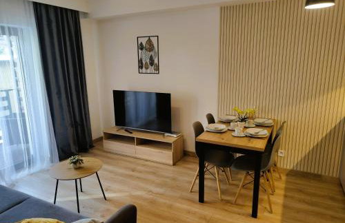 Karkonoska Miejscówka Apartament Szklarska Poręba Centrum Park - Foto 15