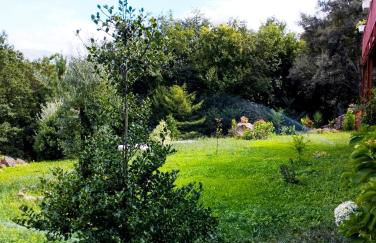 Quinta da Casa Matilde - NATURE HOUSE - Foto 29