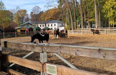 Noclegi Mieszkanie Kuchnia Żywiec - Foto 24