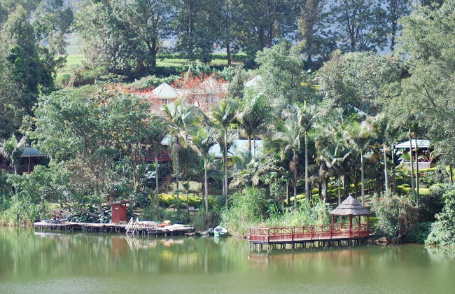 Crater Bay Cottages - Photo 76