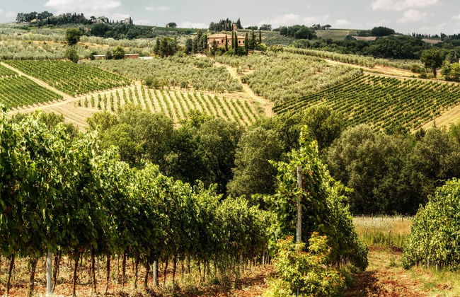 Home Boccaccio Terrace and Chianti View 1 - Foto 29