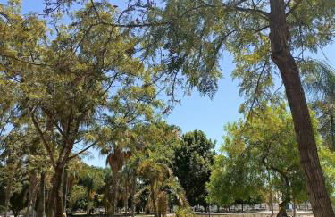 Mediterranean Sea Views Apartment in Huelin - Foto 8