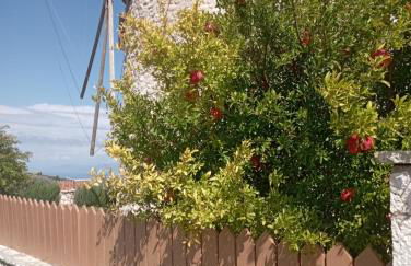 Anemomilos Villa - Photo 55