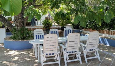 La Noguera de Baena - Foto 2