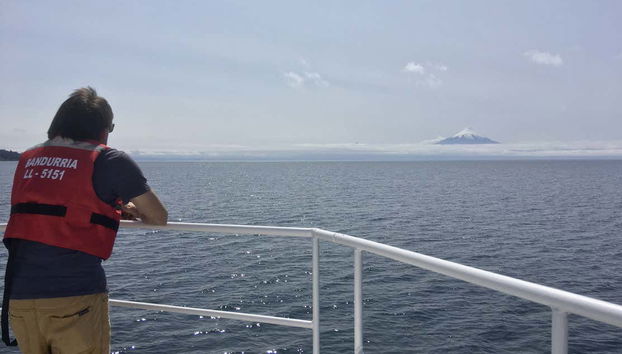 Contemplando as vistas